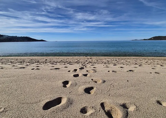 With Sea View * Calcatoggio (Corsica)